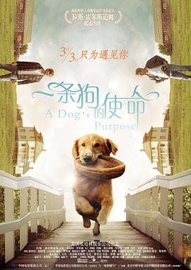 精品久久久久久乱码天堂